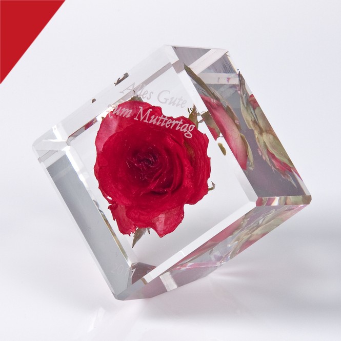Embedment „Rose in acrylic glass“
